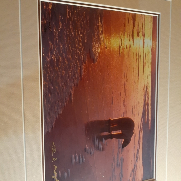 GORGEOUS 1989 Thomas D Mangelsen Signed BEAR 8"x10" Framed Print. - Picture 5 of 5